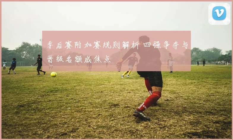季后赛附加赛规则解析 四强争夺与晋级名额成焦点